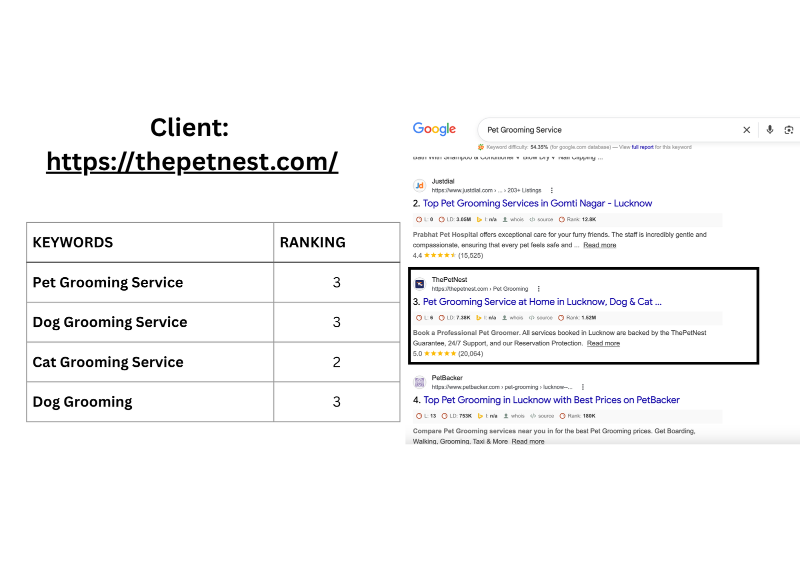 thepetnest - SEO